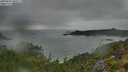 ./images/calvert/foggy-cove/20250802/foggy-cove20250802_060507M.jpg