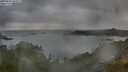 ./images/calvert/foggy-cove/20250802/foggy-cove20250802_065009M.jpg