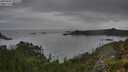 ./images/calvert/foggy-cove/20250802/foggy-cove20250802_075510M.jpg
