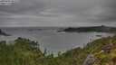 ./images/calvert/foggy-cove/20250802/foggy-cove20250802_081510M.jpg
