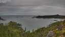 ./images/calvert/foggy-cove/20250802/foggy-cove20250802_084510M.jpg