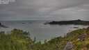 ./images/calvert/foggy-cove/20250802/foggy-cove20250802_085509M.jpg