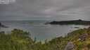 ./images/calvert/foggy-cove/20250802/foggy-cove20250802_090011M.jpg