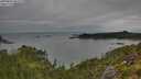 ./images/calvert/foggy-cove/20250802/foggy-cove20250802_091010M.jpg