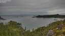 ./images/calvert/foggy-cove/20250802/foggy-cove20250802_091510M.jpg