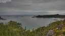 ./images/calvert/foggy-cove/20250802/foggy-cove20250802_092011M.jpg