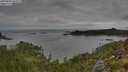 ./images/calvert/foggy-cove/20250802/foggy-cove20250802_092506M.jpg