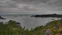 ./images/calvert/foggy-cove/20250802/foggy-cove20250802_093011M.jpg