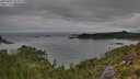 ./images/calvert/foggy-cove/20250802/foggy-cove20250802_094010M.jpg