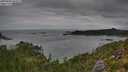 ./images/calvert/foggy-cove/20250802/foggy-cove20250802_094509M.jpg