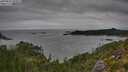 ./images/calvert/foggy-cove/20250802/foggy-cove20250802_095009M.jpg