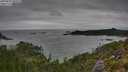./images/calvert/foggy-cove/20250802/foggy-cove20250802_095509M.jpg