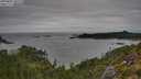 ./images/calvert/foggy-cove/20250802/foggy-cove20250802_100510M.jpg