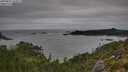 ./images/calvert/foggy-cove/20250802/foggy-cove20250802_101009M.jpg