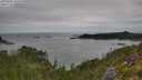 ./images/calvert/foggy-cove/20250802/foggy-cove20250802_102010M.jpg