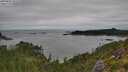 ./images/calvert/foggy-cove/20250802/foggy-cove20250802_102510M.jpg