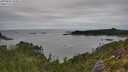 ./images/calvert/foggy-cove/20250802/foggy-cove20250802_103011M.jpg