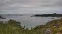 ./images/calvert/foggy-cove/20250802/foggy-cove20250802_103508M.jpg