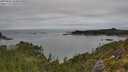 ./images/calvert/foggy-cove/20250802/foggy-cove20250802_104010M.jpg