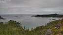 ./images/calvert/foggy-cove/20250802/foggy-cove20250802_104511M.jpg
