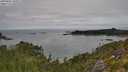 ./images/calvert/foggy-cove/20250802/foggy-cove20250802_105011M.jpg