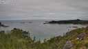 ./images/calvert/foggy-cove/20250802/foggy-cove20250802_110510M.jpg