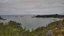 ./images/calvert/foggy-cove/20250802/foggy-cove20250802_111010M.jpg
