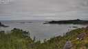 ./images/calvert/foggy-cove/20250802/foggy-cove20250802_111508M.jpg