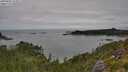 ./images/calvert/foggy-cove/20250802/foggy-cove20250802_112011M.jpg