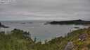./images/calvert/foggy-cove/20250802/foggy-cove20250802_113011M.jpg