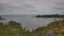 ./images/calvert/foggy-cove/20250802/foggy-cove20250802_115509M.jpg