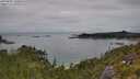 ./images/calvert/foggy-cove/20250802/foggy-cove20250802_130010M.jpg