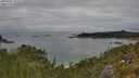 ./images/calvert/foggy-cove/20250802/foggy-cove20250802_132509M.jpg