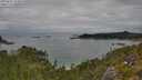 ./images/calvert/foggy-cove/20250802/foggy-cove20250802_133010M.jpg