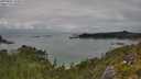 ./images/calvert/foggy-cove/20250802/foggy-cove20250802_134010M.jpg