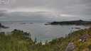 ./images/calvert/foggy-cove/20250802/foggy-cove20250802_140509M.jpg