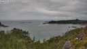 ./images/calvert/foggy-cove/20250802/foggy-cove20250802_143508M.jpg