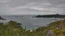 ./images/calvert/foggy-cove/20250802/foggy-cove20250802_144009M.jpg