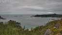 ./images/calvert/foggy-cove/20250802/foggy-cove20250802_144510M.jpg