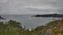 ./images/calvert/foggy-cove/20250802/foggy-cove20250802_145010M.jpg