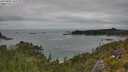 ./images/calvert/foggy-cove/20250802/foggy-cove20250802_145510M.jpg