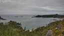 ./images/calvert/foggy-cove/20250802/foggy-cove20250802_150509M.jpg