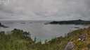 ./images/calvert/foggy-cove/20250802/foggy-cove20250802_153507M.jpg