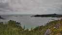 ./images/calvert/foggy-cove/20250802/foggy-cove20250802_155010M.jpg