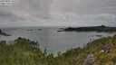 ./images/calvert/foggy-cove/20250802/foggy-cove20250802_155509M.jpg