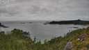 ./images/calvert/foggy-cove/20250802/foggy-cove20250802_161511M.jpg