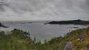 ./images/calvert/foggy-cove/20250802/foggy-cove20250802_162509M.jpg