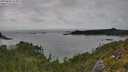 ./images/calvert/foggy-cove/20250802/foggy-cove20250802_163012M.jpg