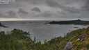 ./images/calvert/foggy-cove/20250802/foggy-cove20250802_180011M.jpg