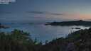 ./images/calvert/foggy-cove/20250803/foggy-cove20250803_052507M.jpg